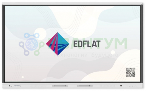 Интерактивная панель EDFLAT LITE 55 (EDF55LT01)